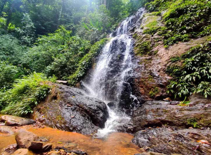 Brownsberg Nature Park, Suriname